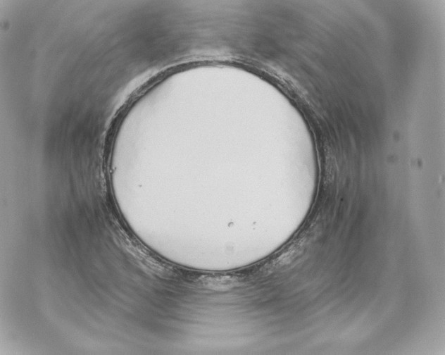 X0000070381168200607072146