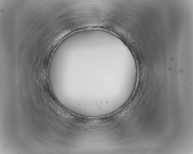 X0000070381169200607072146