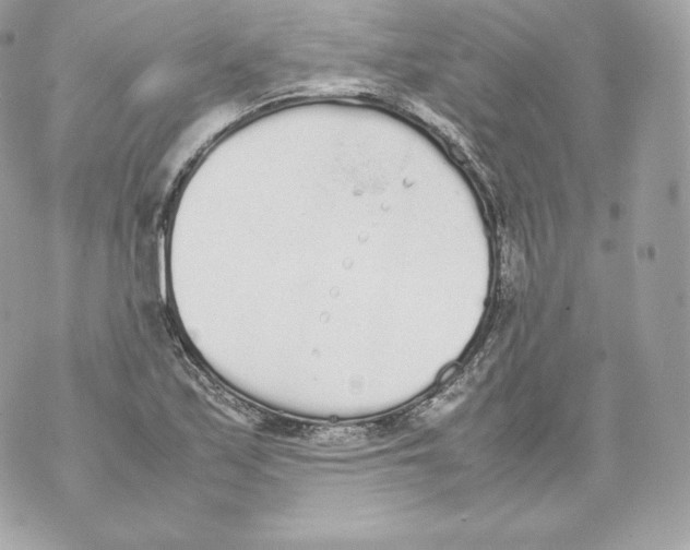 X0000070381171200607072146