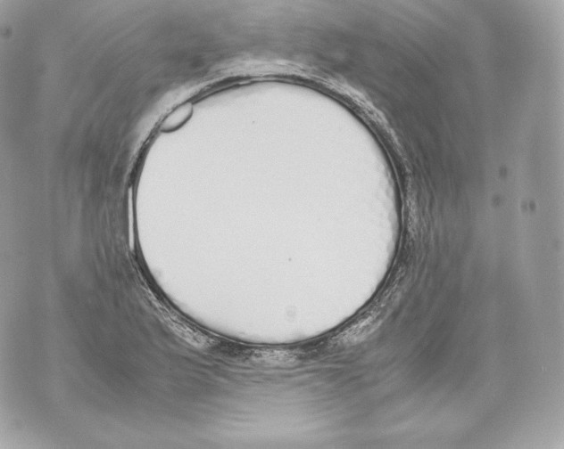 X0000070381175200607072146