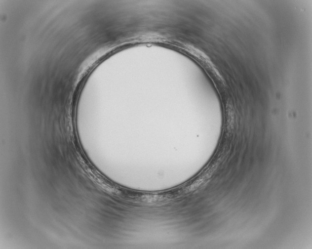 X0000070381176200607072146