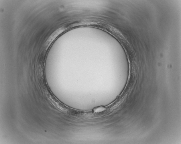 X0000070381177200607072146