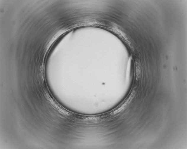 X0000070381178200607072146