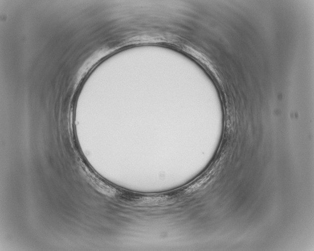 X0000070381179200607072146