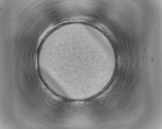 X0000070381180200607072146