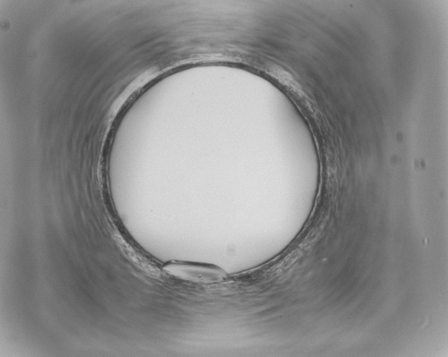 X0000070381181200607072146