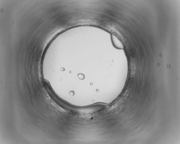 X0000070381182200607072146