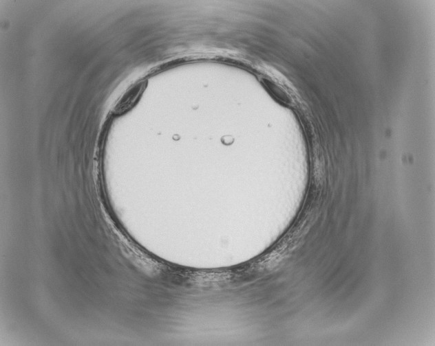 X0000070381183200607072146