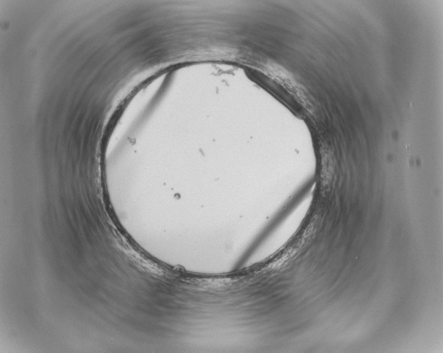 X0000070381184200607072146