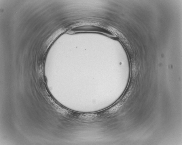 X0000070381185200607072146