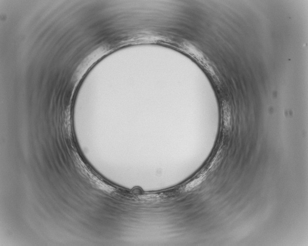 X0000070381186200607072146