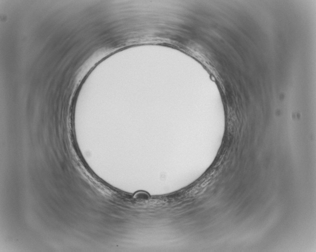 X0000070381187200607072146