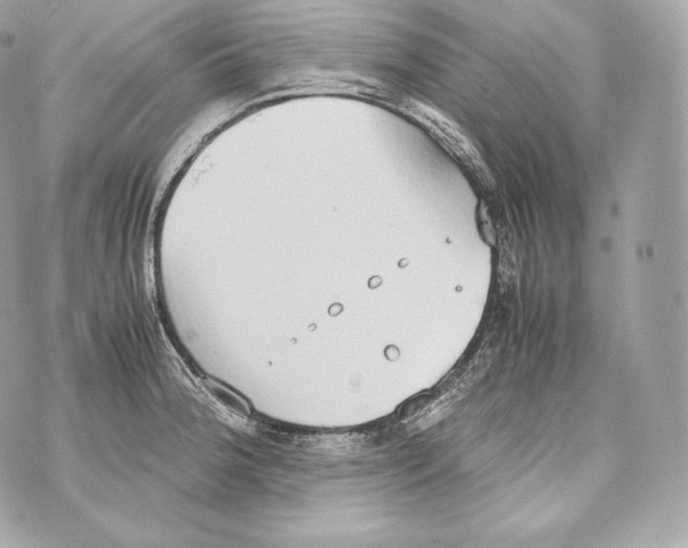 X0000070381188200607072146