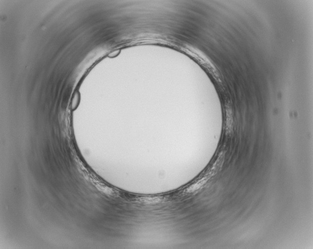 X0000070381190200607072146