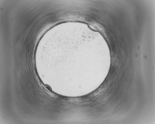 X0000070381191200607072146