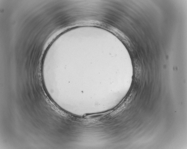 X0000070381192200607072146