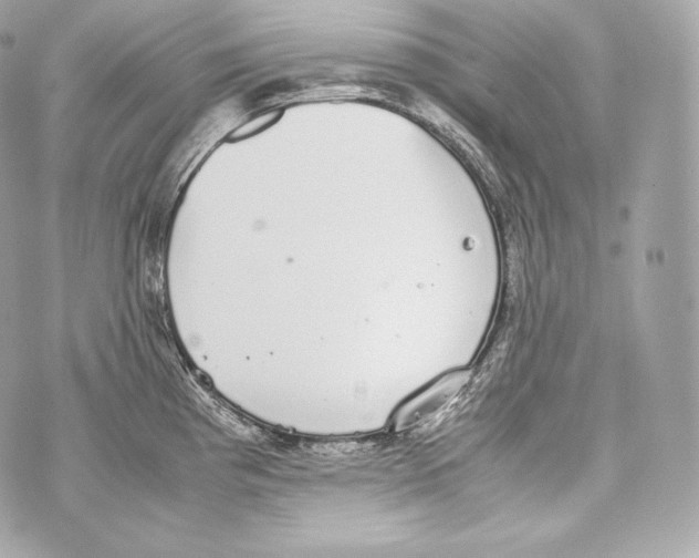 X0000070381193200607072146