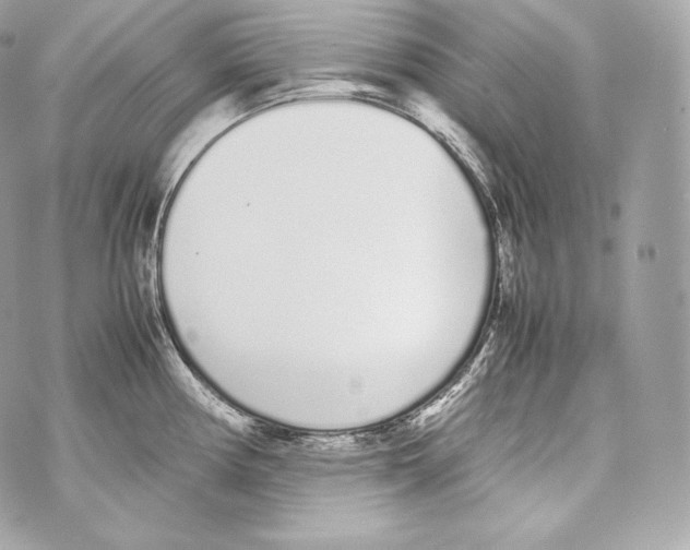 X0000070381194200607072146