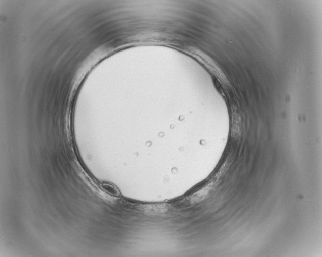 X0000070381196200607072146