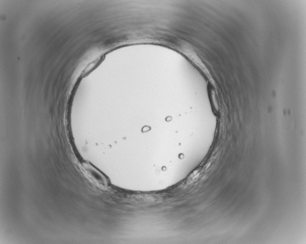 X0000070381197200607072146