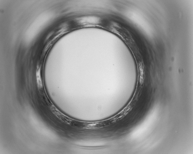 X0000070381198200607072146