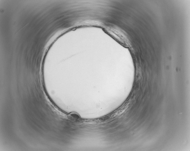 X0000070381199200607072146