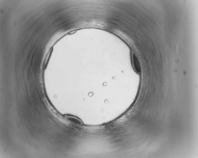 X0000070381200200607072146