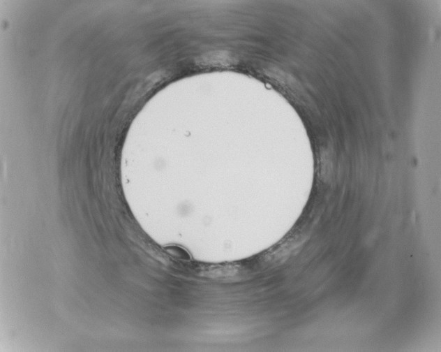 X0000070381201200607072145