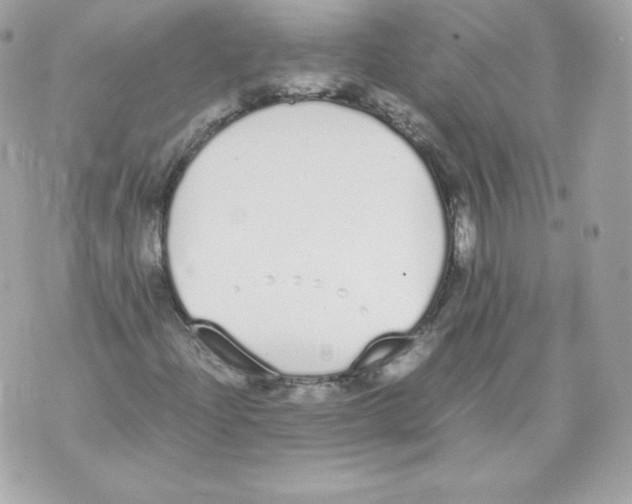 X0000070381204200607072145