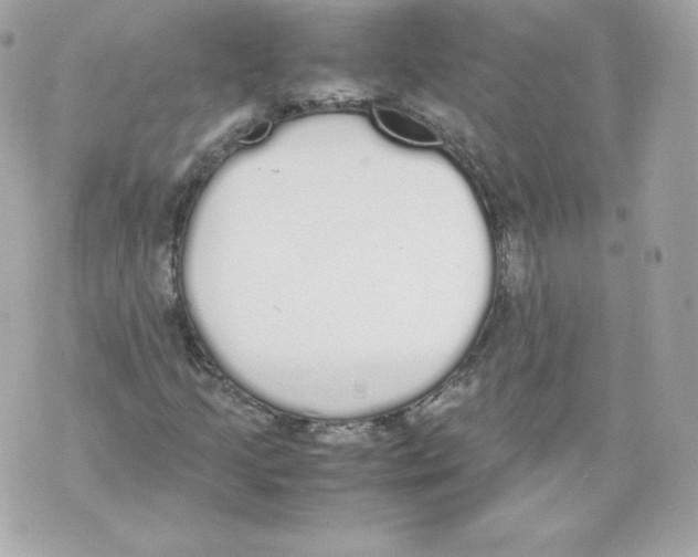 X0000070381205200607072145