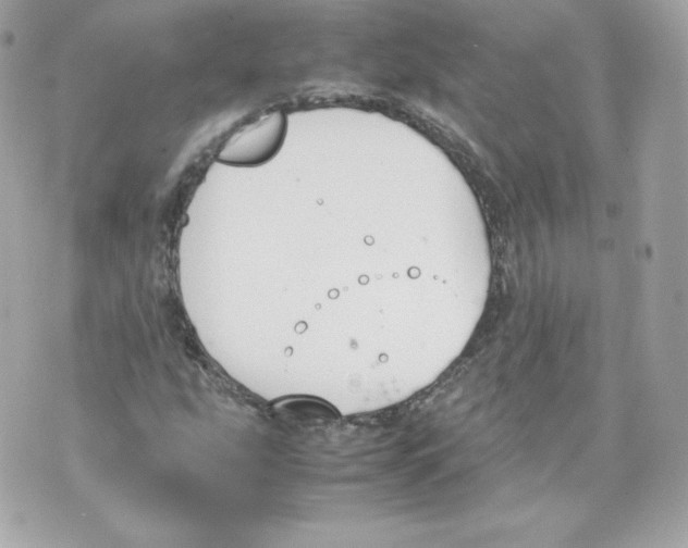 X0000070381207200607072145