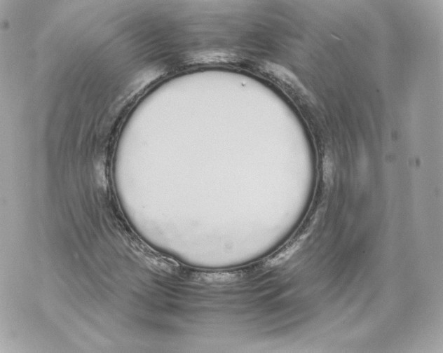 X0000070381209200607072145