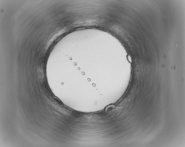 X0000070381218200607072145