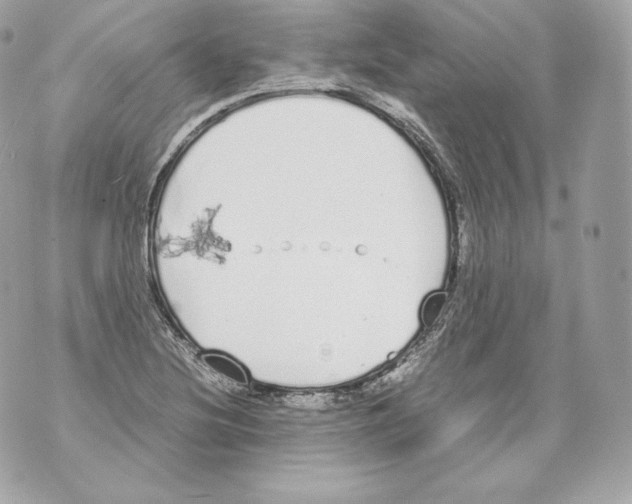 X0000070381220200607072145