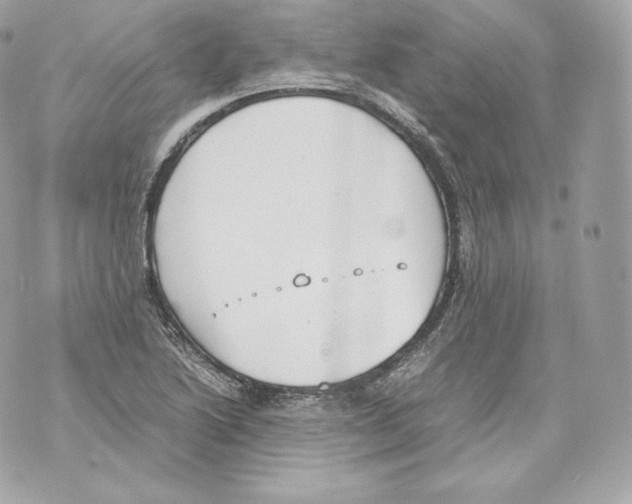 X0000070381222200607072145