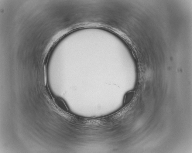 X0000070381223200607072146