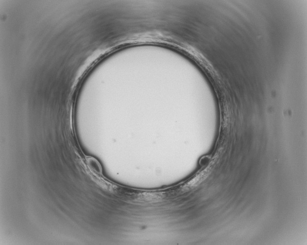 X0000070381224200607072146