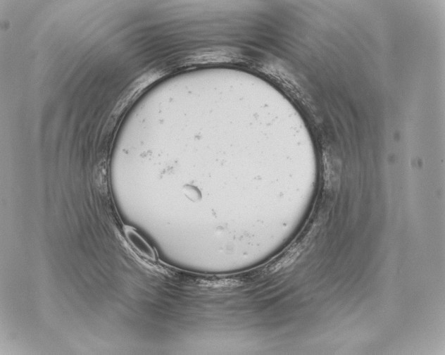 X0000070381225200607072146