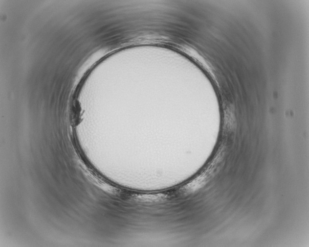 X0000070381227200607072146