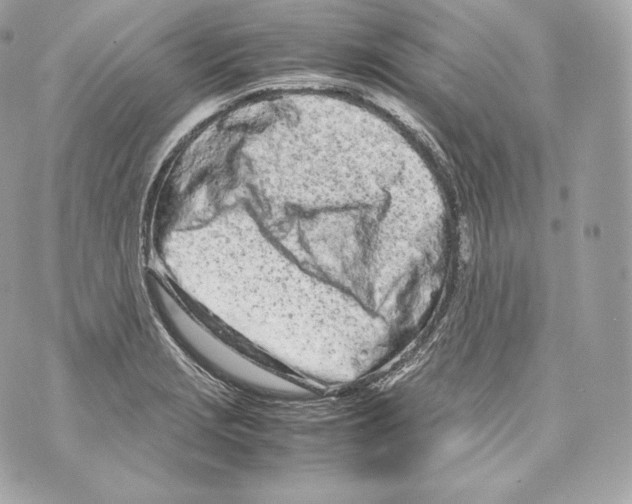 X0000070381229200607072146