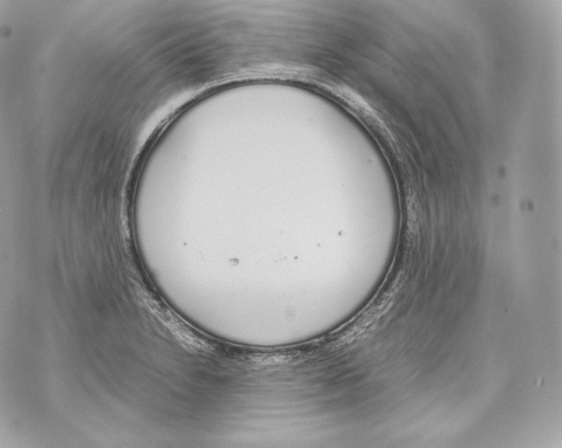 X0000070381230200607072146