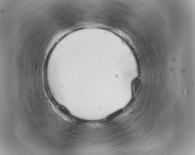 X0000070381231200607072146