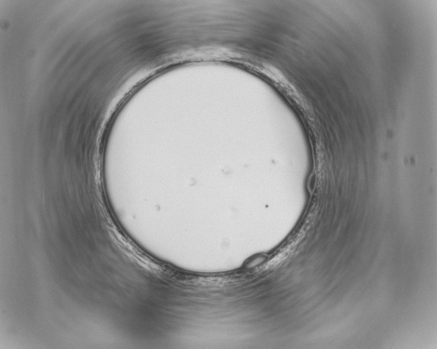 X0000070381232200607072146