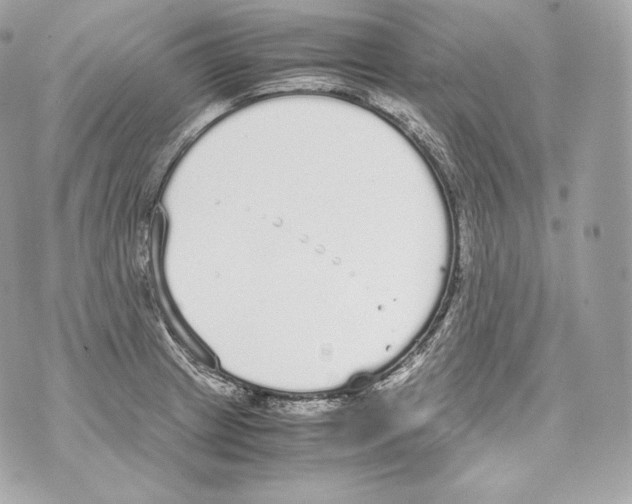 X0000070381233200607072146