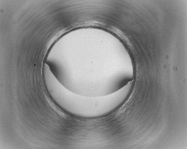 X0000070381234200607072146