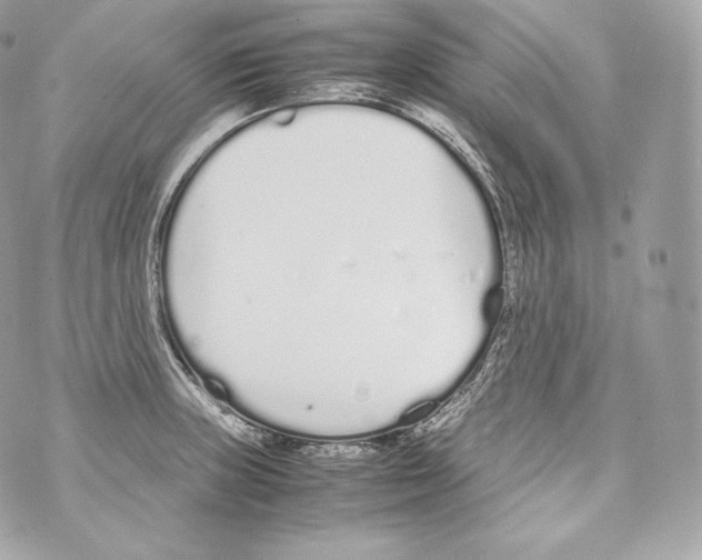 X0000070381235200607072146