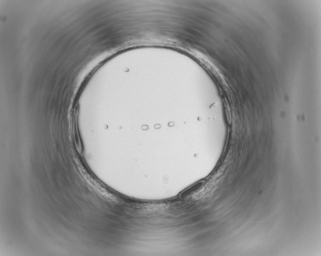 X0000070381238200607072146