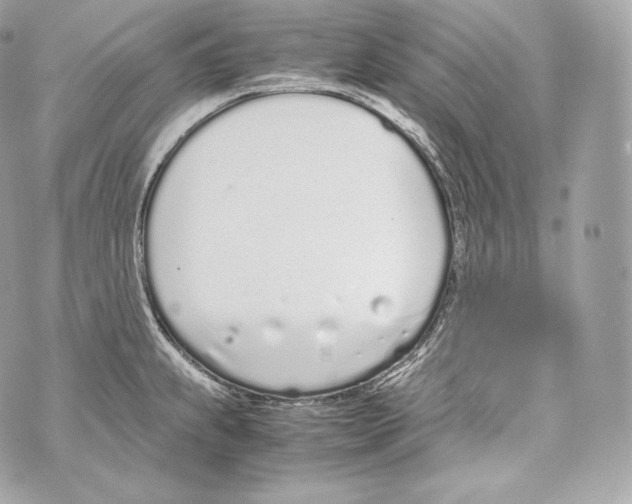 X0000070381239200607072146