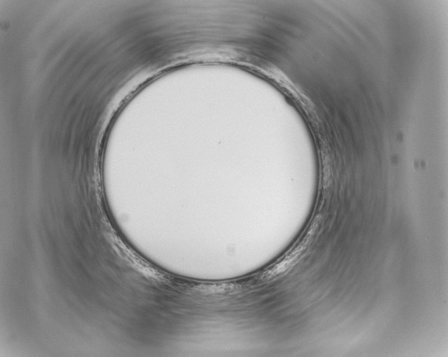 X0000070381240200607072146