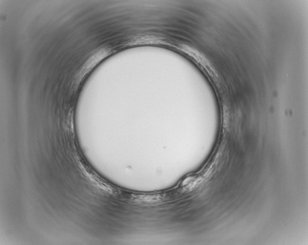 X0000070381241200607072146